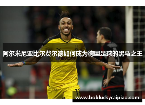 阿尔米尼亚比尔费尔德如何成为德国足球的黑马之王