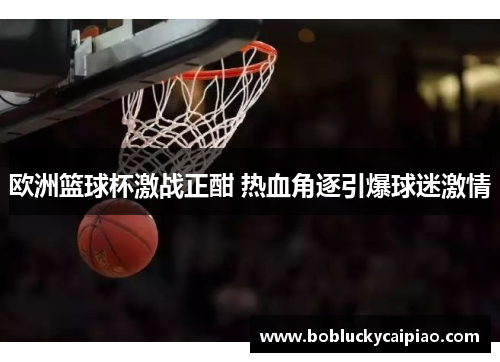 欧洲篮球杯激战正酣 热血角逐引爆球迷激情