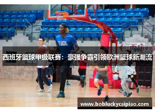 西班牙篮球甲级联赛：豪强争霸引领欧洲篮球新潮流