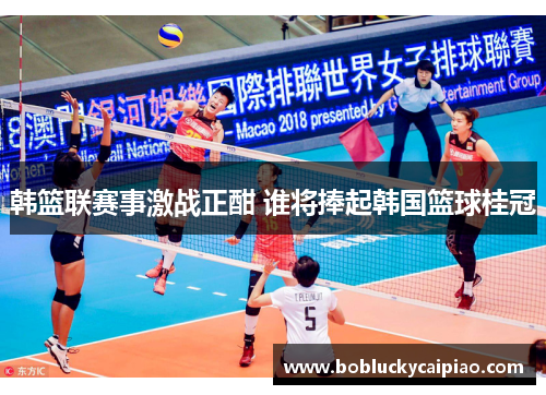 韩篮联赛事激战正酣 谁将捧起韩国篮球桂冠