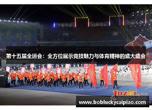 第十五届全运会：全方位展示竞技魅力与体育精神的盛大盛会