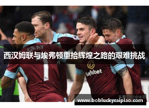 西汉姆联与埃弗顿重拾辉煌之路的艰难挑战