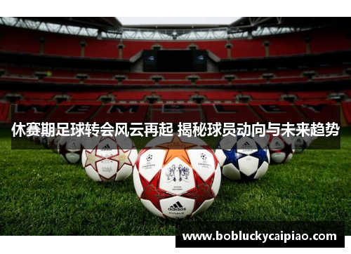 休赛期足球转会风云再起 揭秘球员动向与未来趋势