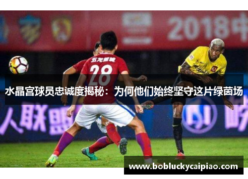 水晶宫球员忠诚度揭秘：为何他们始终坚守这片绿茵场